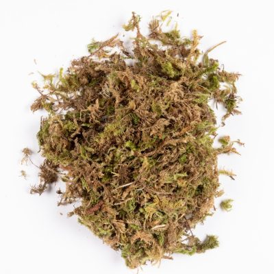 Sacchetto con muschio n.1216 (40 gr.)