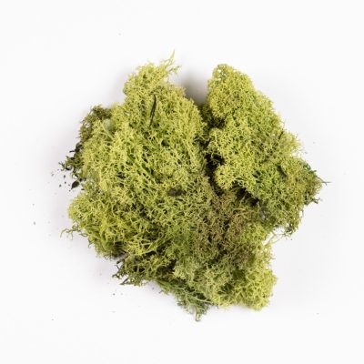 Sacchetto con lichene verde n.1254 (30 gr.)