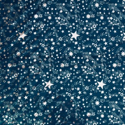 Rotolo cielo stellato argento cm.100x70