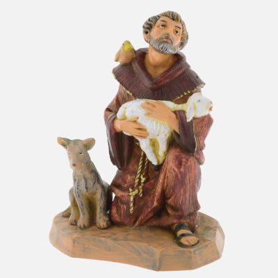 San Francesco con animali (649) cm.11